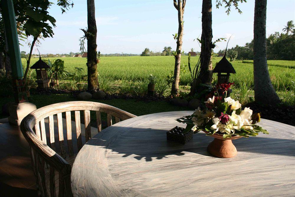 Umasari Rice Terrace Villa Selemadeg Kültér fotó