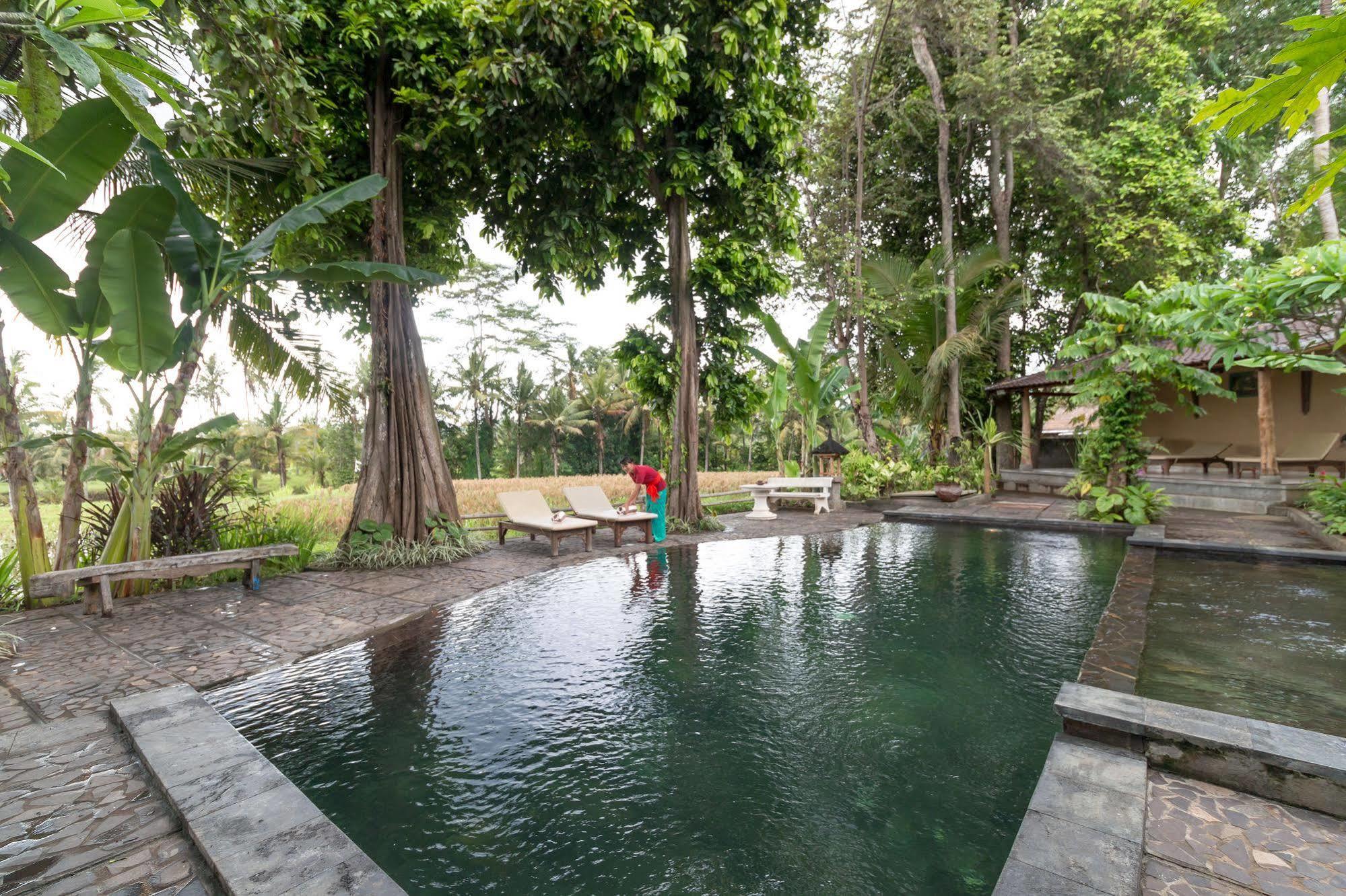 Umasari Rice Terrace Villa Selemadeg Kültér fotó